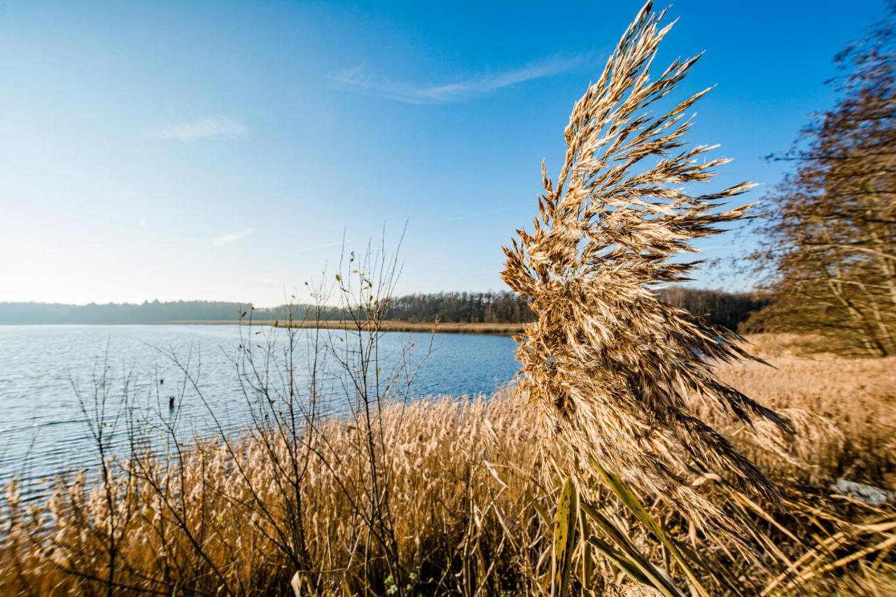 5 Sterne Ferienhaus Direkt Am See Mit Sauna-Kamin-Garten 크라코프암지 외부 사진